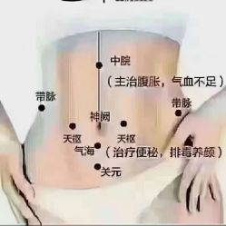 -香薇妮丝·定制减肥·身材管理