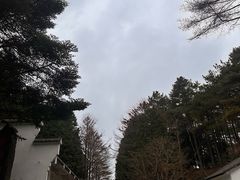 -四明山国家森林公园