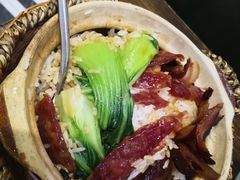 -熠盛粤味·顺德桑拿鸡(永康路店)
