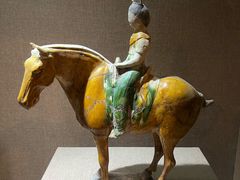 -烟台市博物馆