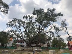 -云石寺