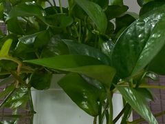 -北京长白山国际酒店(鸟巢店)