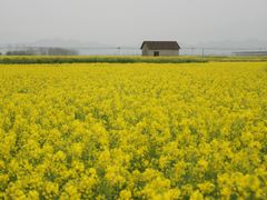 -东梓关景区村庄