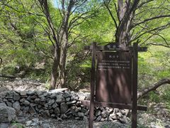 -阳台山自然风景区