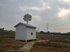 -紫颐香薰山谷景区