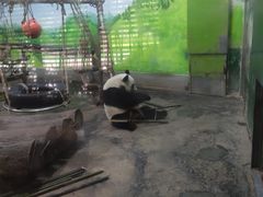 -柳州市动物园