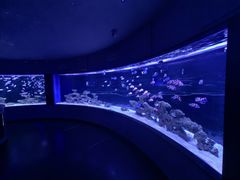 -上和臻品中国菜(花园街店)