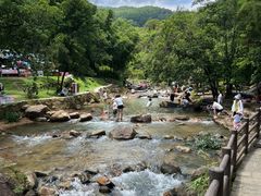 -广州白江湖森林公园