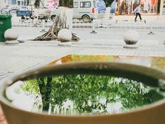 凉茶-明记凉茶店(安富街店)
