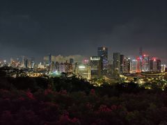 -莲花山公园