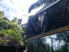 -海南热带野生动植物园