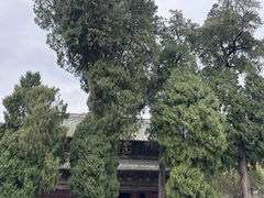 -报恩寺(平武县)