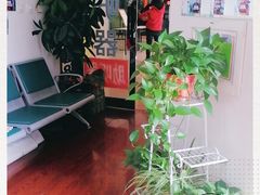 -自然之声助听器·呼吸机(和平店)