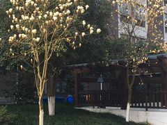 -盒马鲜生(杭州运河上街店)