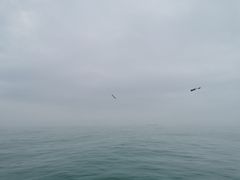 -江南村海鲜馆(洞头店)