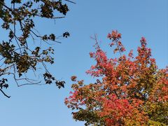 -安徽大学(磬苑校区)