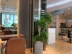 -意廊 Hair Salon