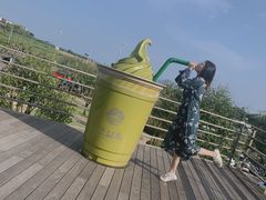 -雪绿茶博物馆