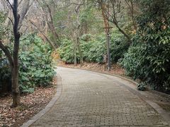 -虞山风景区