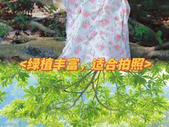 -南沙蒲洲花园