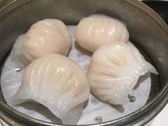 -金凯旋宫