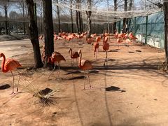 -鄂尔多斯野生动物园