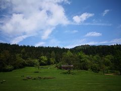 -武陵山森林公园