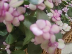 -无锡文化工艺品市场(槐古路店)