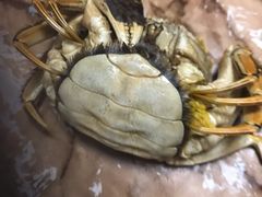 -阳澄湖大闸蟹·琼灵阁牌品牌连锁(吴中总店)