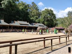 -野象谷景区