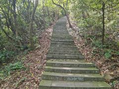 -午潮山国家森林公园