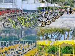 -阳澄湖半岛旅游度假区