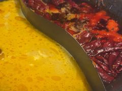 -朱光玉火锅馆(正弘城店)