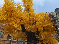 -中华巴洛克风情街