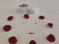 -广州粤海喜来登酒店