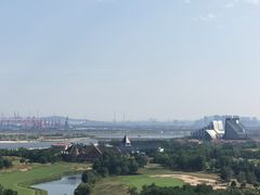 -仙人岛