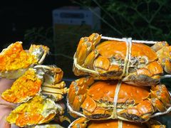 -黄记大闸蟹专卖店·活蟹·醉蟹