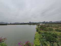 -三垟湿地