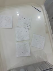 -苗方清颜专业祛痘·皮肤管理