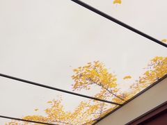 -京味斋·烤鸭·北京菜(安贞店)