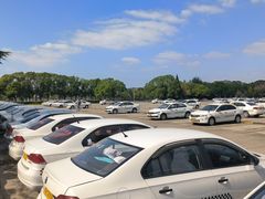 -胜华驾校·小猫学车(银都店)