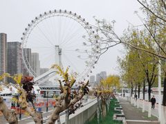 -天津之眼摩天轮