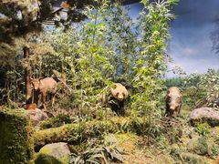 -陕西自然博物馆