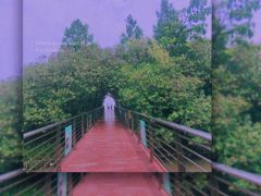 -上海吴淞炮台湾国家湿地公园