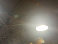 -Dombe豚(黑猪肉街店)