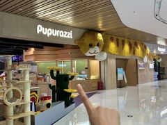 -帕帕拉兹宠物(亚洲旗舰店)