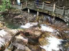 -九龙江国家森林公园