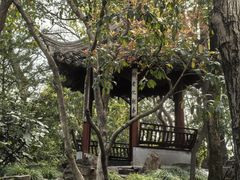 -秋霞圃