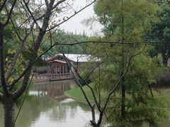 -上海海湾国家森林公园