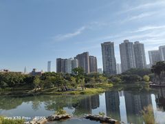 -四海公园(南山区)